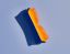 Pet Detangling Brush - Orange/Navy