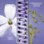 Nectar Sublime - Intensive Multi-Action Serum