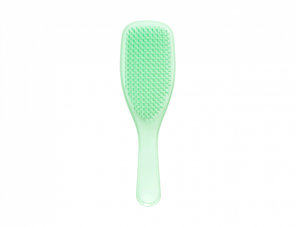 Mini Wet Detengler - Mint